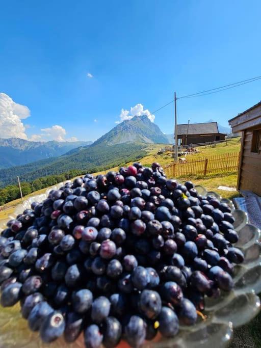 Dusanov Konak Villa Andrijevica Exterior foto